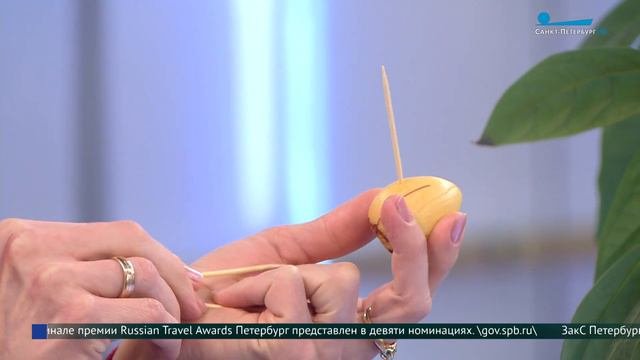 Как вырастить авокадо на подоконнике?