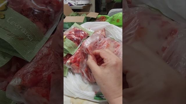 чем кормлю кошек и собак
