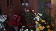Часовня где был домик Матушки Алипии