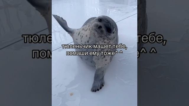куку🙋♂️