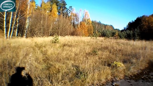 Лёха & POLO D3000 тест днём 2