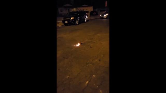 red apple sushi box (maki)