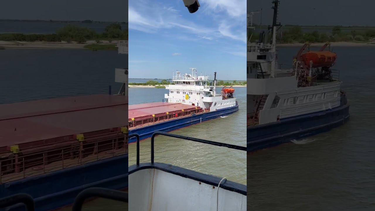 Расходимся с Волго-Дон 238 #ship     #river