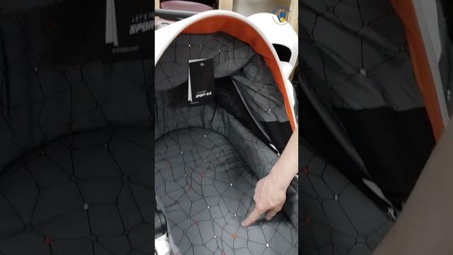 Anex Sport Limited Edition 2019 - отличия от коллекции 2018 года