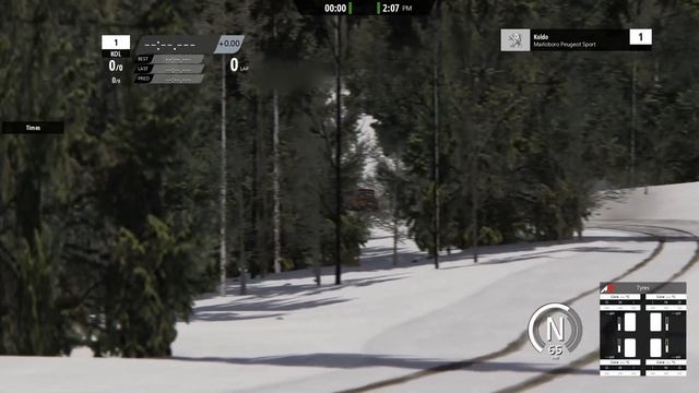 Assetto Corsa - Peugeot 206 WRC - Updates test (snow wheels, dirt and damage)