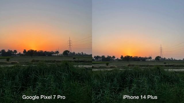 Google Pixel 7 Pro vs iPhone 14 Plus Camera Test