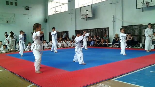 Аттестация по тхэквондо Желтый пояс Taekwondo ITF.  Полтава