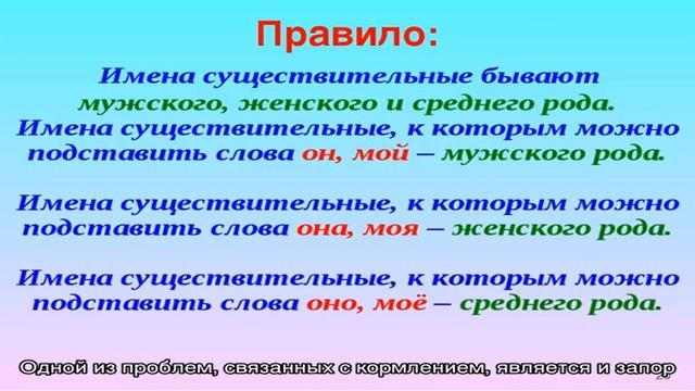 Заболевания шиншилл
