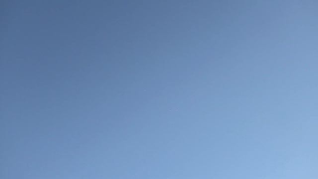 Тестируем голубей с разных регионов в Астрахани!
