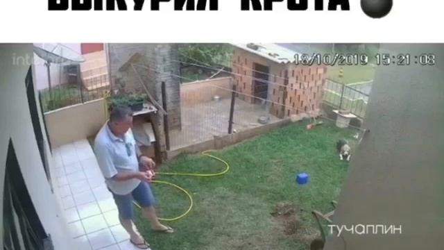 ржака ржака