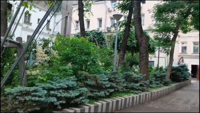 Прогулки по Москве. Дворик в Среднем Кисловском переулке, в котором застрелилась белка🐿️🙂😉