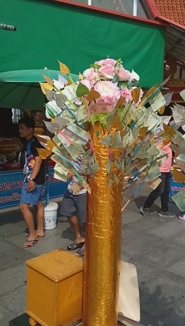 Как мы отдыхали в Тайланде, Паттайа ✦ Дерево Желаний