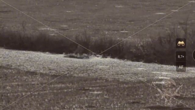 Танго на Днепре