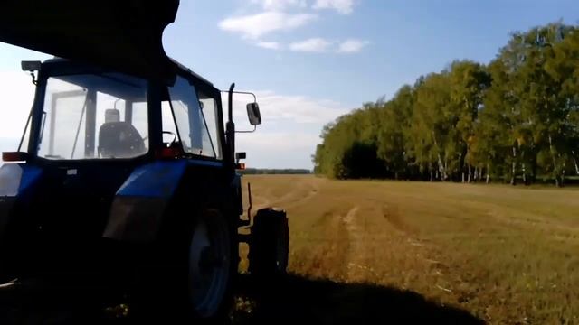 Заготавливаем пшеничную солому