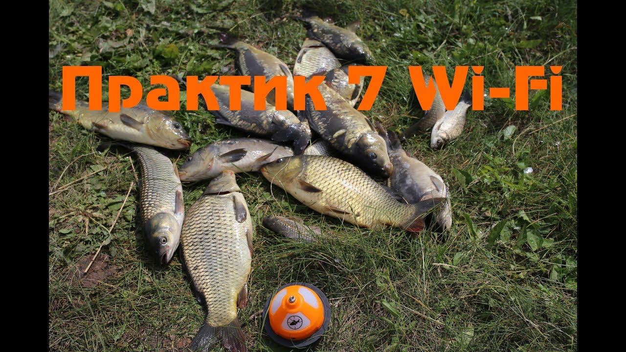 Поиск рыбы с практик 7 wi fi . Рыбалка на карпа в крестьянском