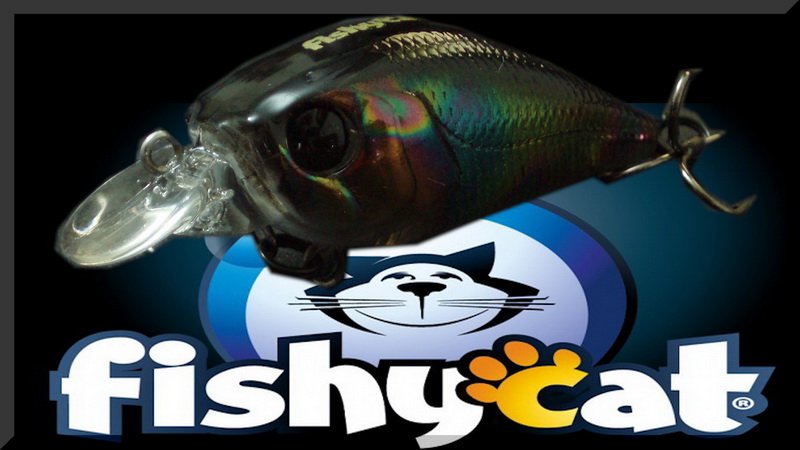 Уловистый воблер на голавля, Fishycat Icat 32F. Стабильно ловит каждый сезон.
Голавль на спиннинг.