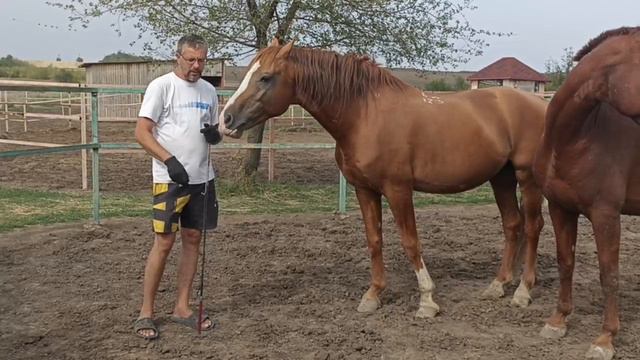 День добрых дел Шахтинский музыкальный колледж