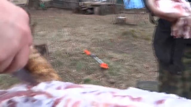 нож Барракуда сталь х12МФ