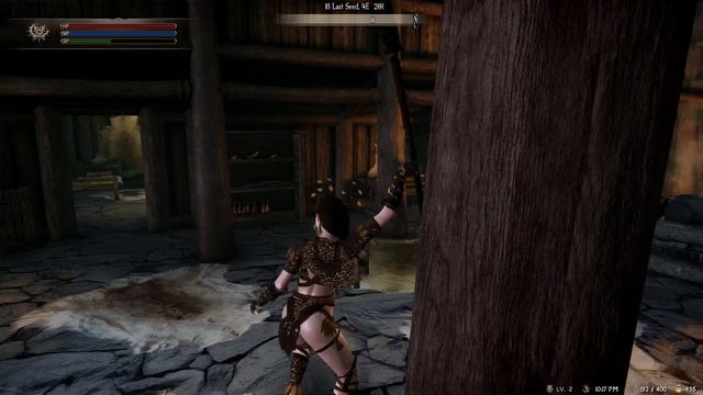 The Elder Scrolls V  Skyrim Special Edition spear animations by eskyrim test