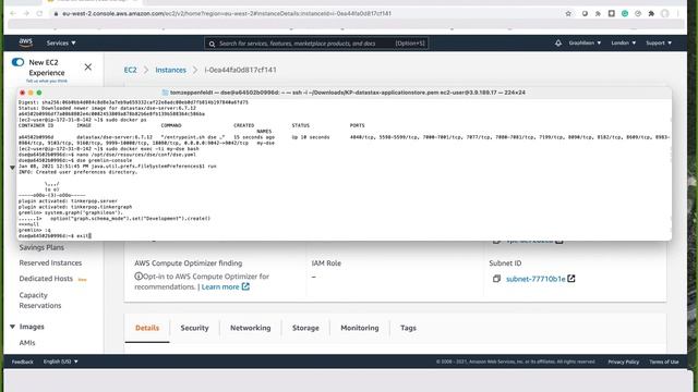 Graphileon setup on AWS and another cloud with DataStax Enterprise Graph