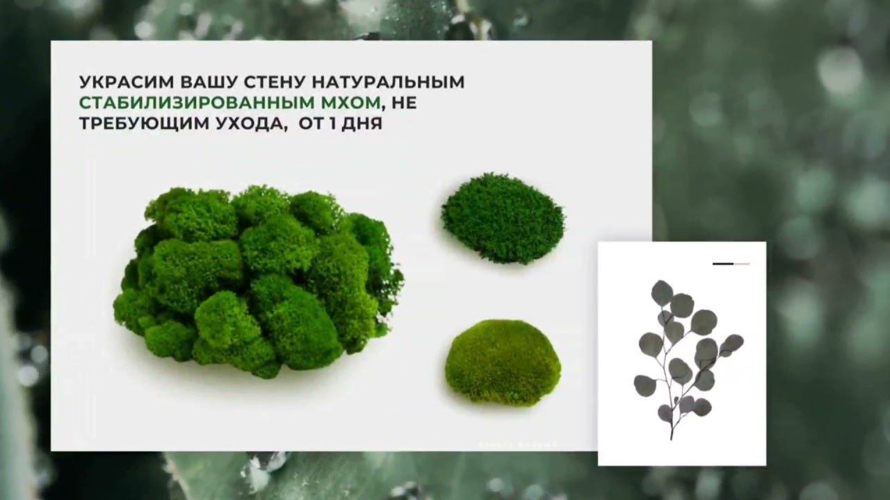 Презентация Greenery