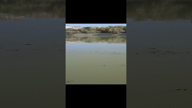 К ночной рыбалке готова.