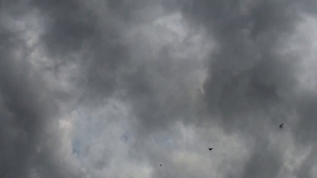 Полеты по ветру