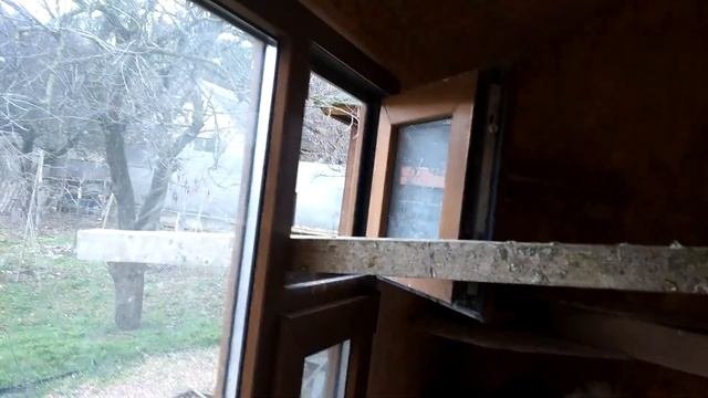 АННА, ПТИЦЫ И КОТИКИ. Часть 2 (ЖИВОТНЫЕ ДРУЗЕЙ КАНАЛА). Anna's Birds And Cats. Part II.