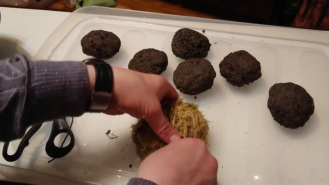 вабикуса своими руками (WABI-KUSA)