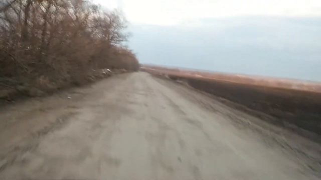 Как правильно выгуливать собаку)