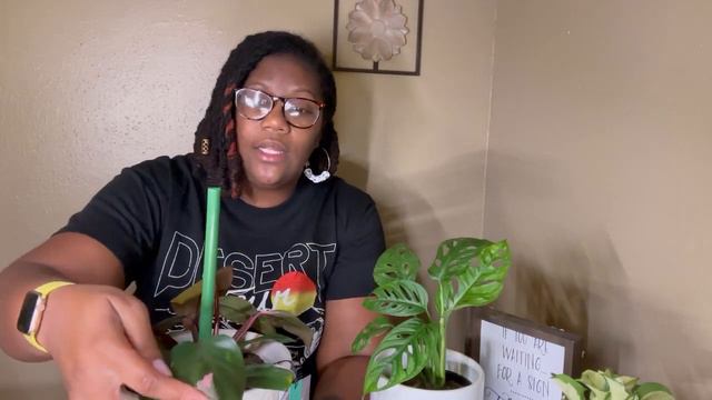 Faith & Flowers (House plant chat)