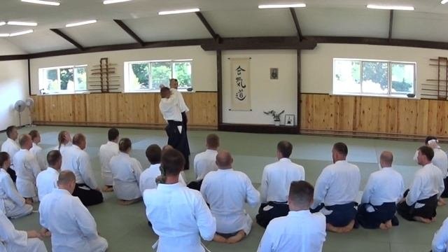 Daniele Montenegro sensei. USHIROWAZA  ERIDORI IKKYO
