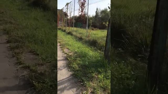 Бачурино 09.09.2018