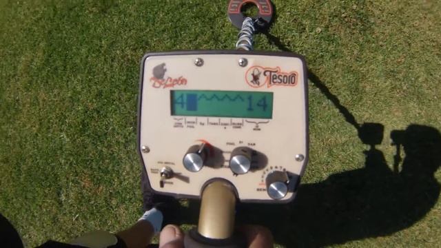 Metal detecting Tesoro Deleon Live digs