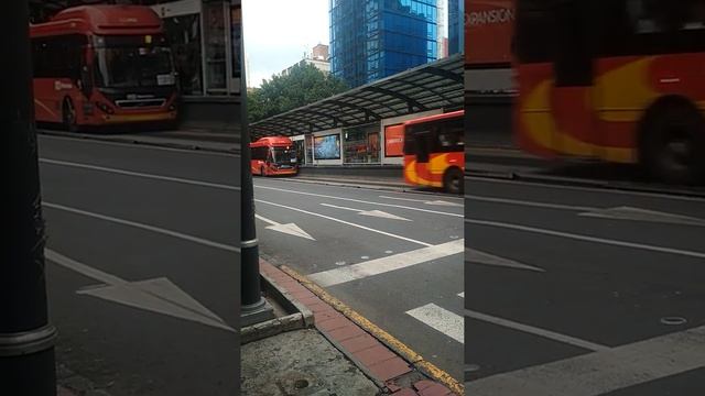 Longest Bus - Mexico metrobus