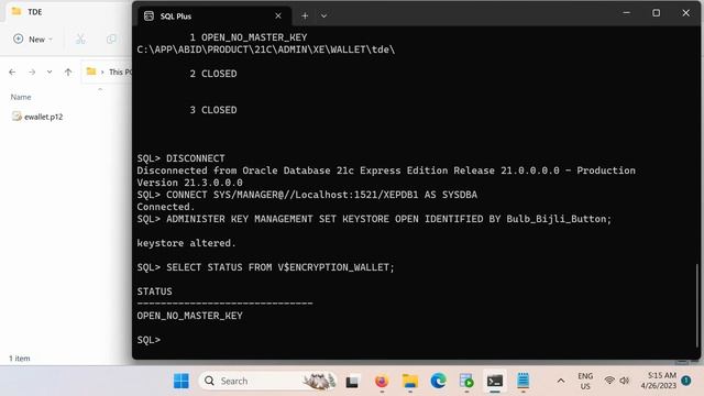 Encrypt Oracle Database Tables to Protect Data from Hackers - Transparent Data Encryption