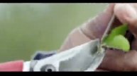 Фермы Nutrilite. Выращивание сырья для мульти- витаминных добавок Nutrilite. Nutrilite - Farmen.