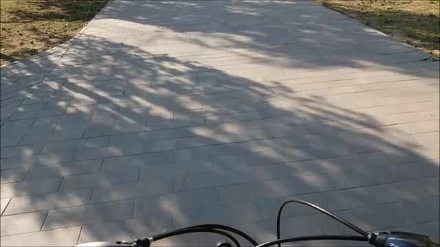 Движение - это жизнь!