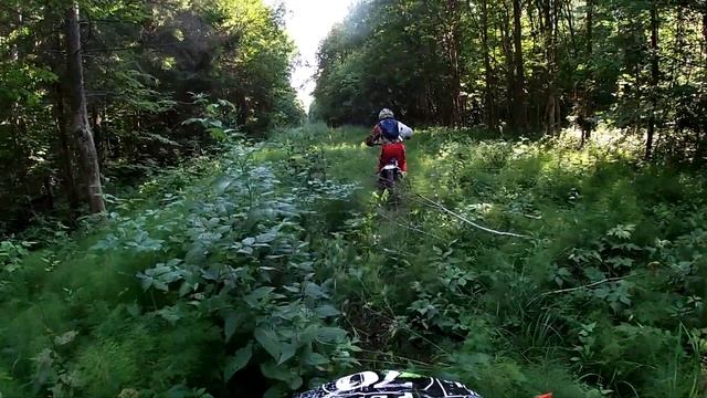 Пробераемся по лесной выпелке, Gr7, Gr8 аренда, прокат мотоциклов в Лаишево Казань