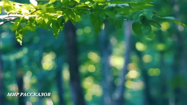 Выгнал жену с ребенком за дверь, но спустя 20 лет...