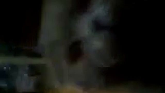 разговорливый кот3gp