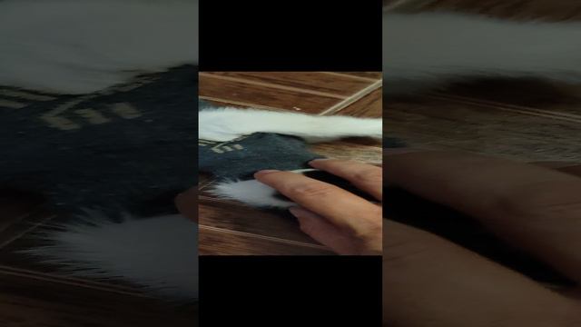 попона для КОТЕНКА, из носка.