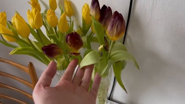 ?Тюльпаны!Бесплатно!И много!Хочу так жить ещё 100 лет!