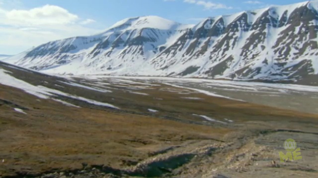 Svalbard ecosystem
