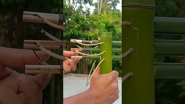 Bamboo Creations with 3 arrow #bamboo #Slingshots #DIY.mp4
