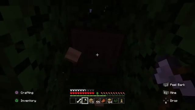 Minecraft  I just died inside