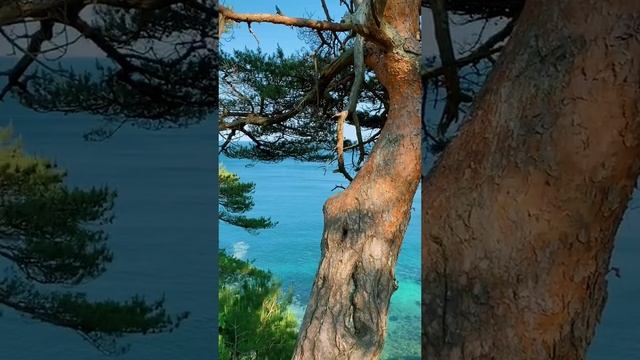 Едем отдыхать - Приморский край.