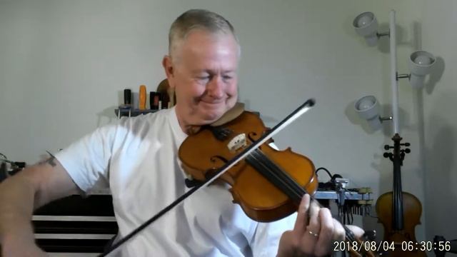 Eight Of January Gliga Violin Helicore Strings