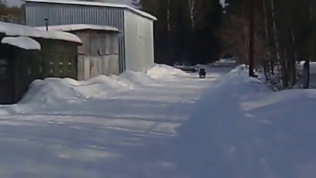 Осовы снегохода снегоход бинза пила.