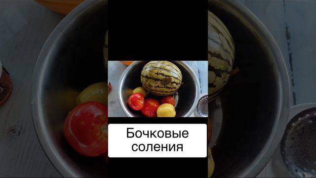 scene_output.mp4